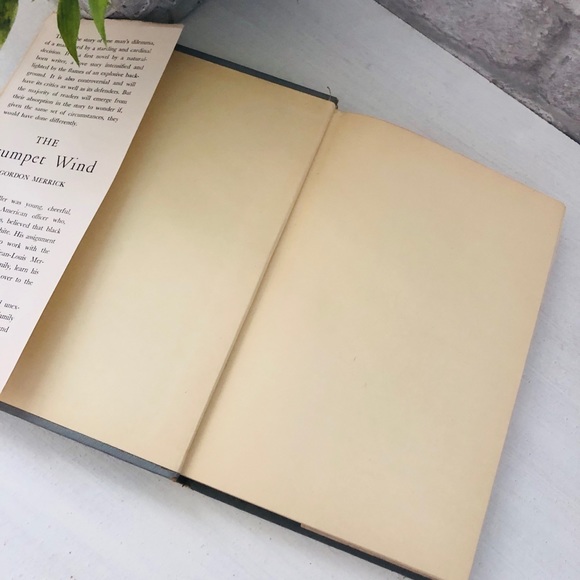 ❤️ The strumpet wind by Gordon Merrick - Picture 6 of 9